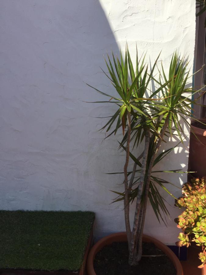 Vila Fidalgo Nazaré Exterior foto